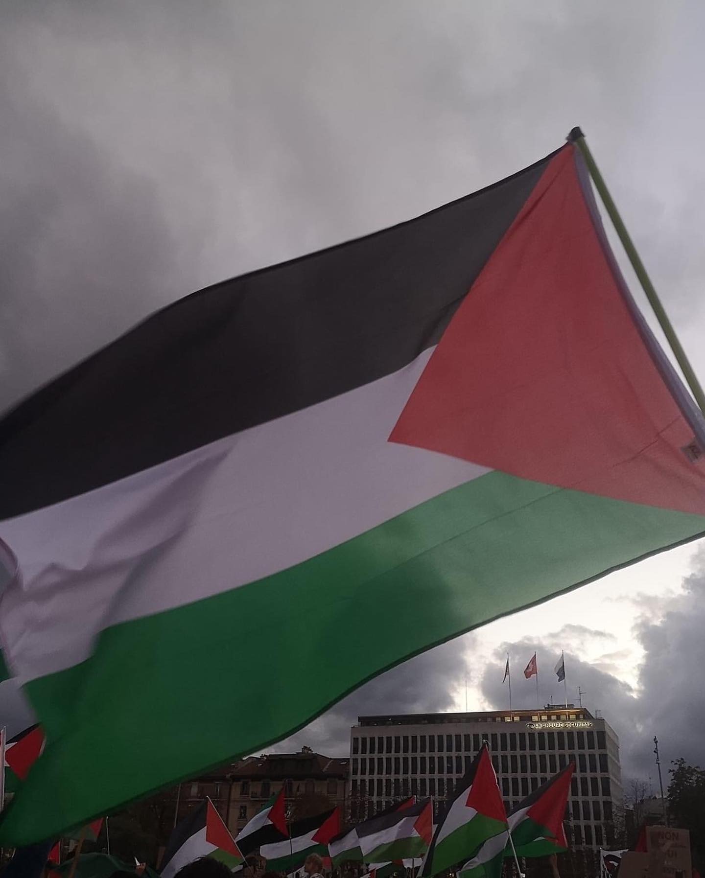 Soutien à la mobilisation pour la Palestine